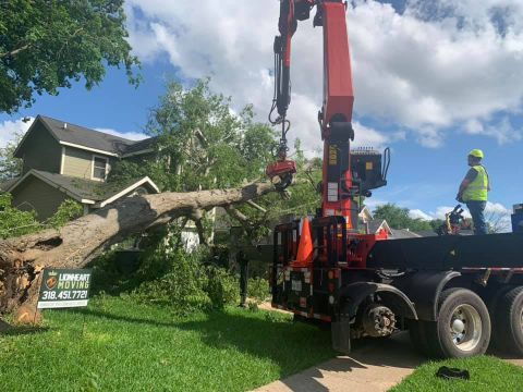Image depicting the Service Emergency Tree Cleanup
