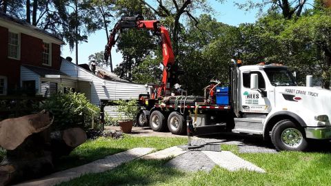 Image depicting the Service Robot Crane Removal